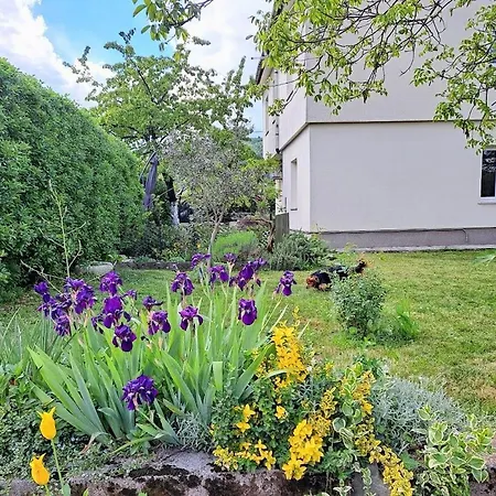 Maja Апартаменты