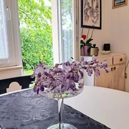 Maja Appartement *