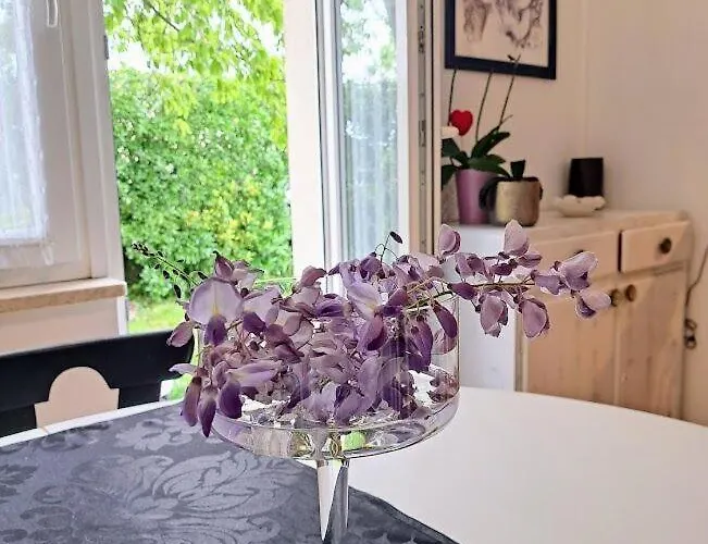 Maja Апартаменты *